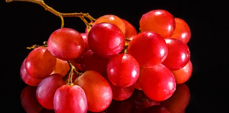 Ekstrakt z pestek winogron – Proantocyjanidyny